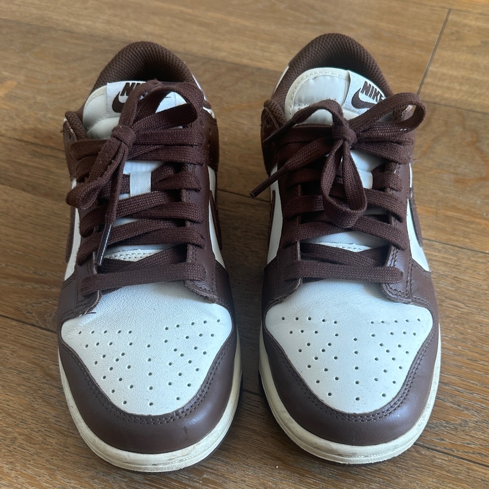 Nike Chocolate Brown Dunk Sneakers